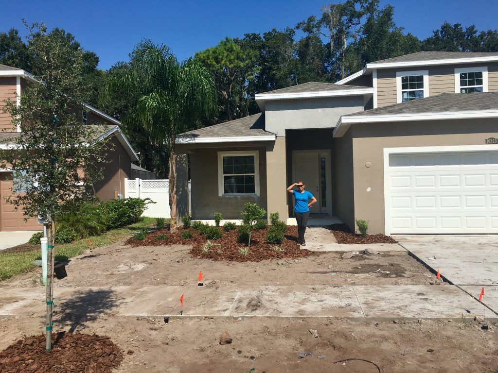 A wider view of the front yard.